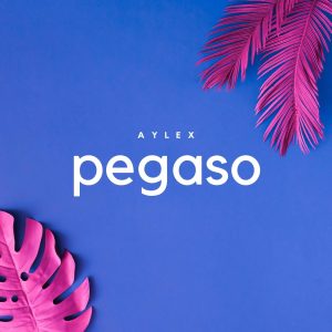 Pegaso (ELECTRONIC)