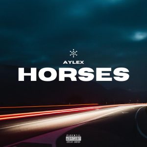 Horses (DOWNTEMPO/ELECTRONIC)