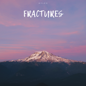 FRACTURES (ELECTRONIC)