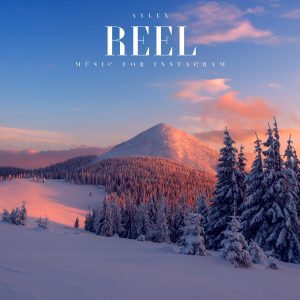 Reel (FUTURE BASS)