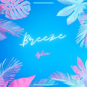 Breeze (ELECTRONIC)