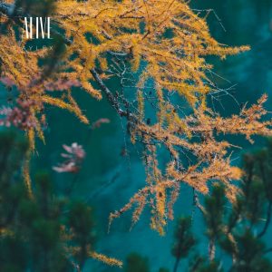 Alive (CLASSICAL CINEMATIC)