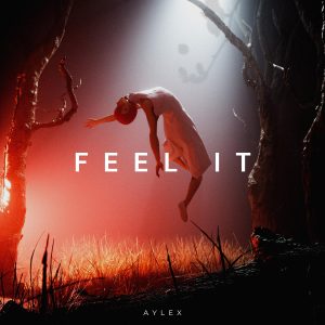 Feel It (ELECTRONIC/DOWNTEMPO)