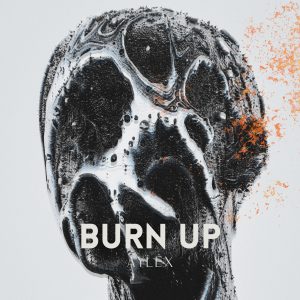 Burn up (DUBSTEP)