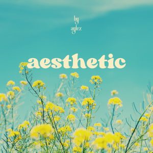 Aesthetic (LO-FI HIP HOP)