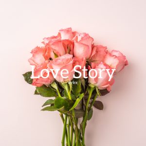 Love Story  (CLASSICAL/PIANO)