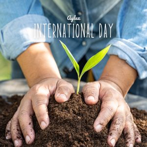 International Day  (CLASSICAL/PIANO)